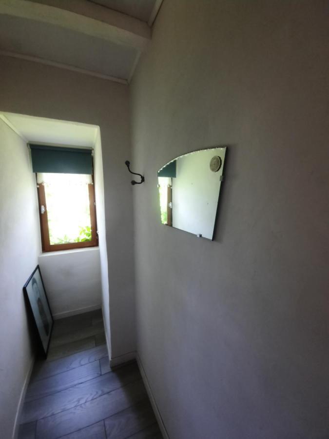 Ma Toulousaine Chambre D'Hotes Toulouse Extérieur photo