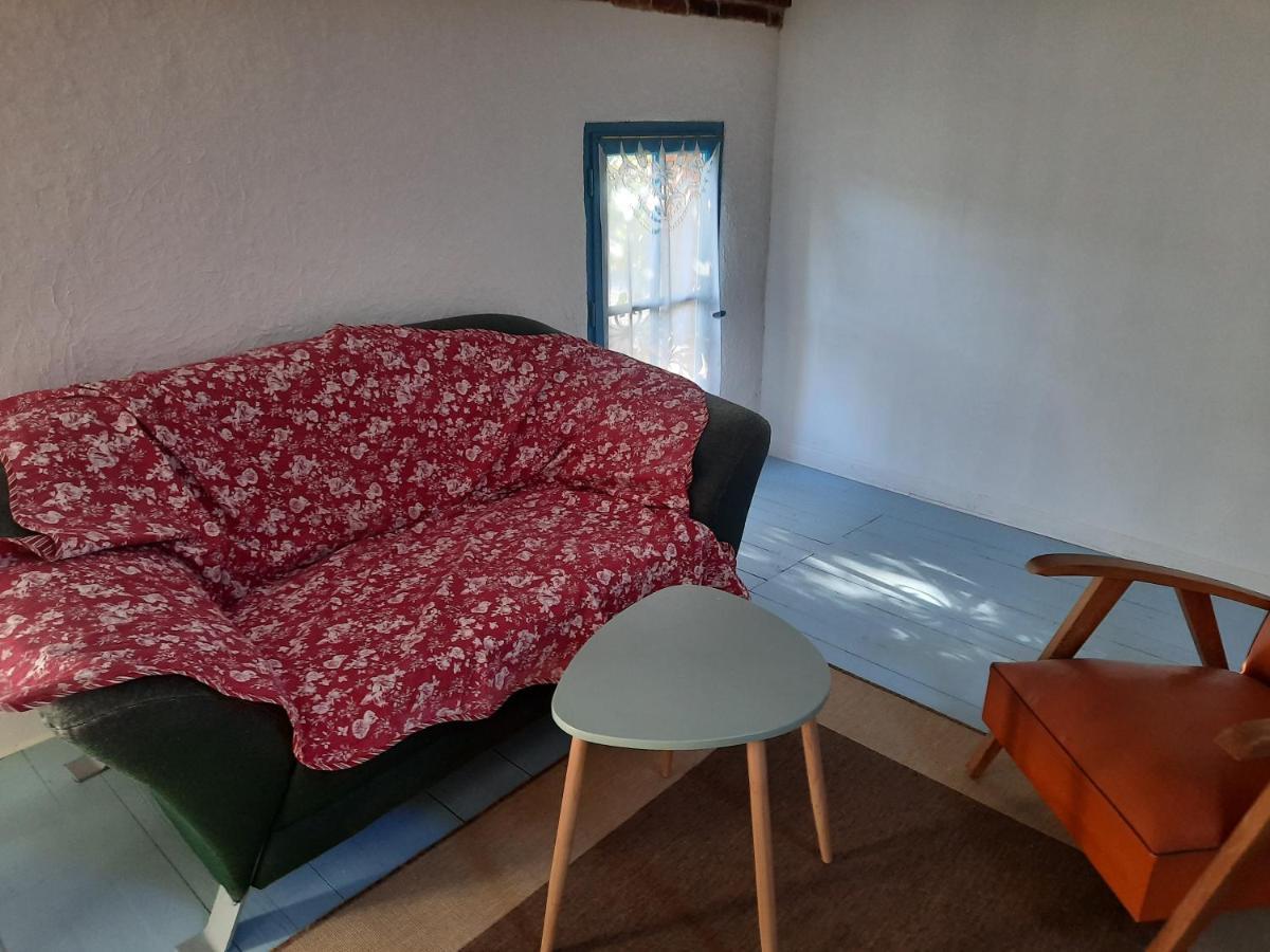 Ma Toulousaine Chambre D'Hotes Toulouse Extérieur photo